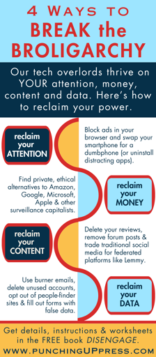 Infographic called "4 Ways to Break the Broligarchy"